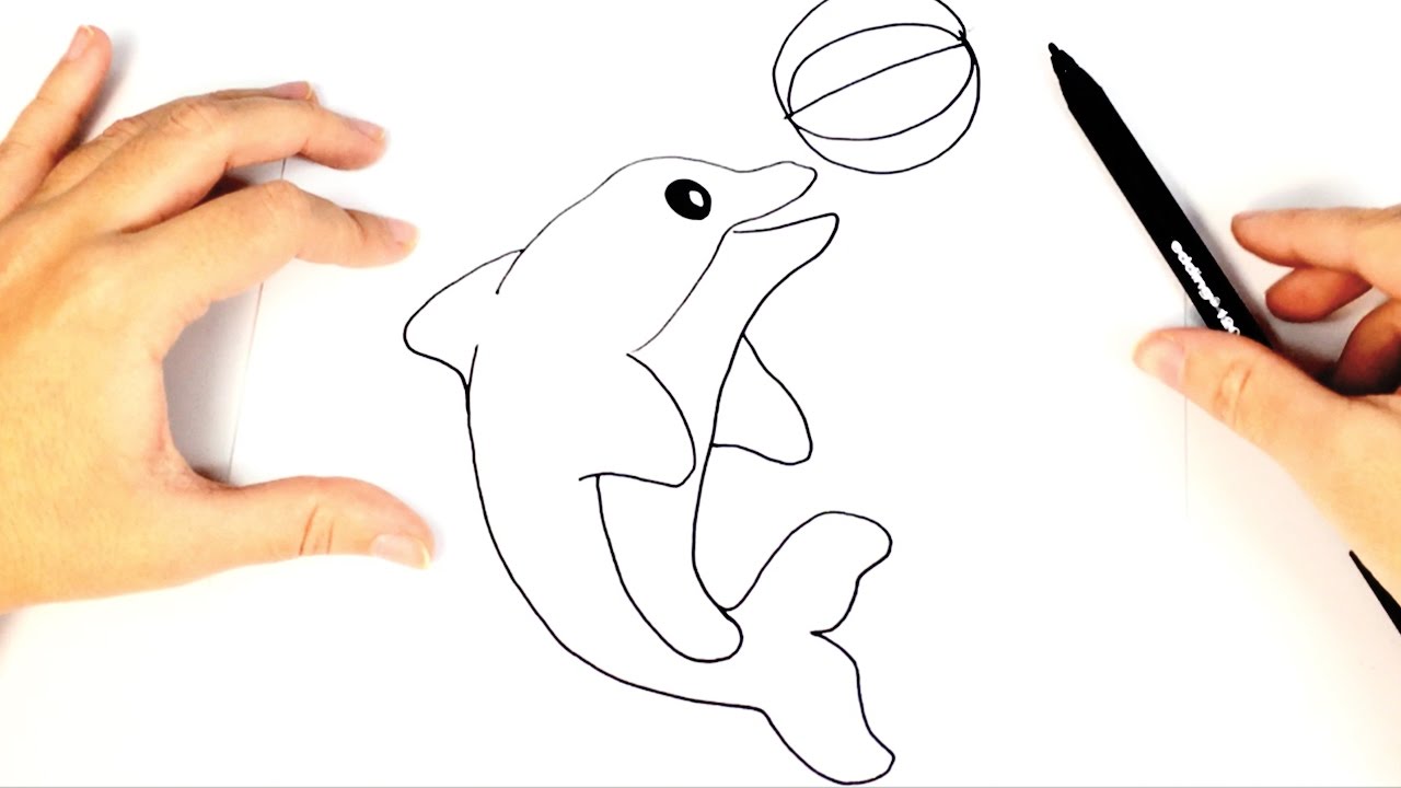 1280x720 How To Draw A Dolphin For Kids Dolphin Drawing Lesson Step By
