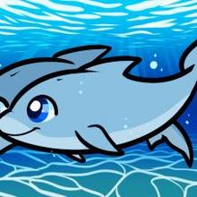 220x220 How To Draw How To Draw Dolphins For Kids