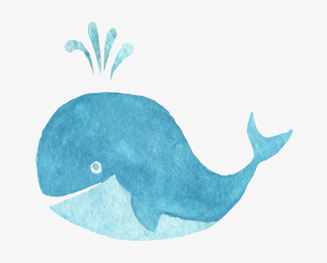 650x523 Blue Dolphins, Drawing Dolphins, Blue Png Image And Clipart