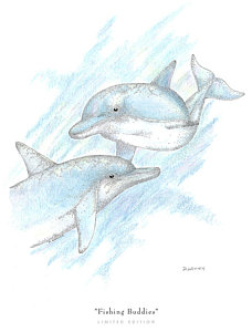 228x300 Dolphins Drawings Fine Art America