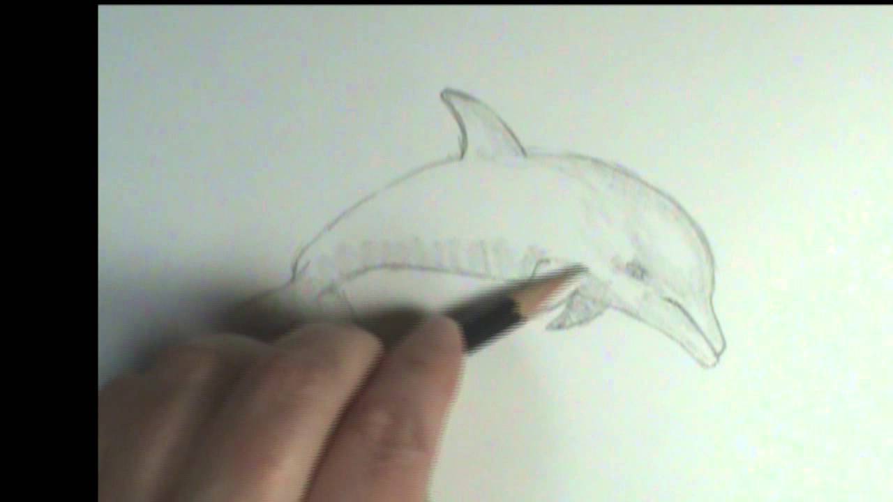 1280x720 How To Draw A Dolphin