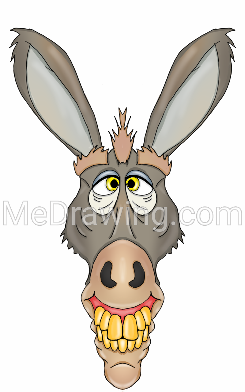 800x1280 Cartoon Donkey Colored Drawing