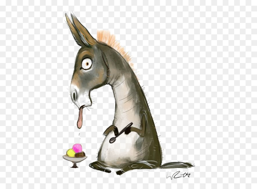 900x660 Donkey Cartoon Drawing Illustration