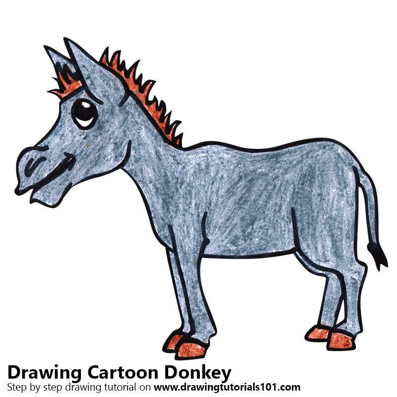 800x800 Learn How To Draw A Cartoon Donkey (Cartoon Animals) Step By Step