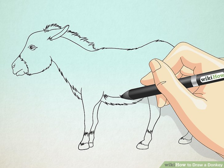 728x546 How To Draw A Donkey 6 Steps (With Pictures)
