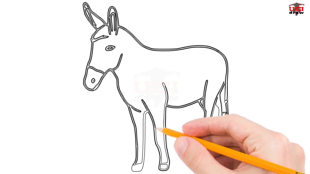1280x720 How To Draw A Donkey Step By Step Easy For Beginnerskids Simple