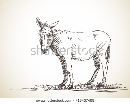 450x358 Sketch Of Donkey Hand Drawn Illustration Sketch Animals