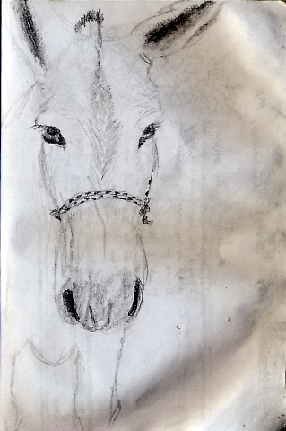 319x480 Index Of Drawingart2