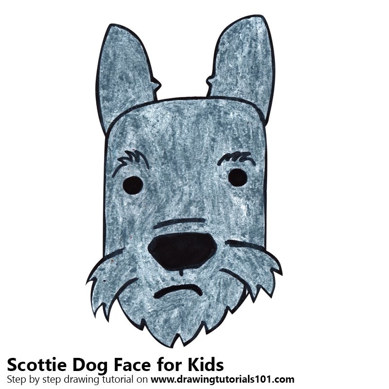 800x800 Learn How To Draw A Scottie Dog Face Kids (Animal Faces