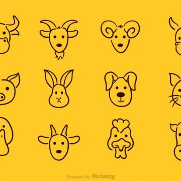 360x360 Donkey Face Archives My Graphic Hunt