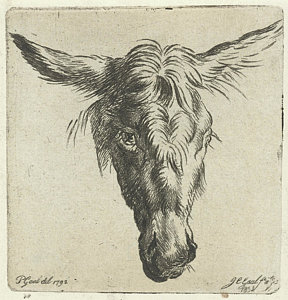 288x300 Donkey Head Drawings Fine Art America