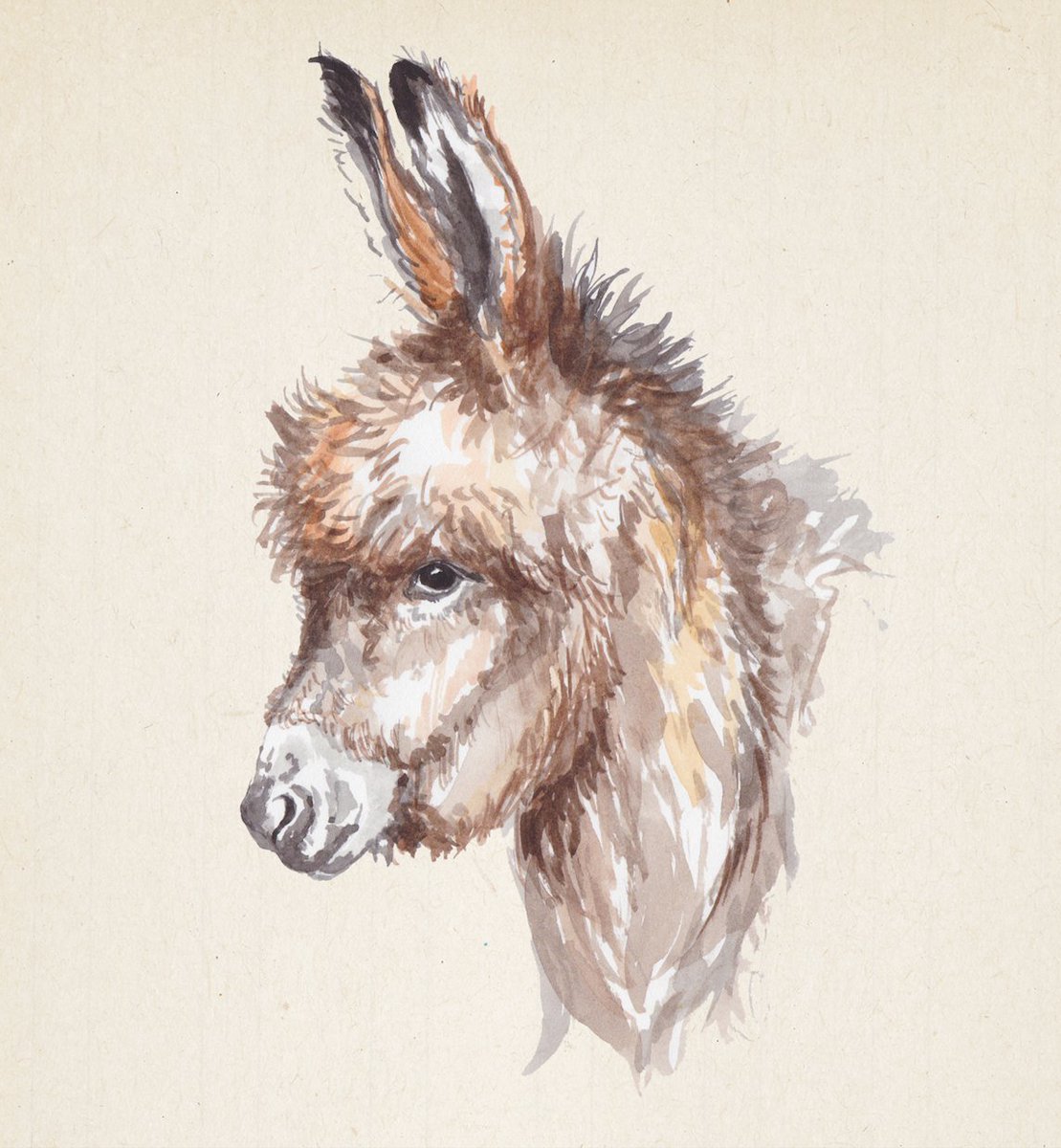 1109x1200 Wild Life Drawing On Twitter Ever Seen A Miniature