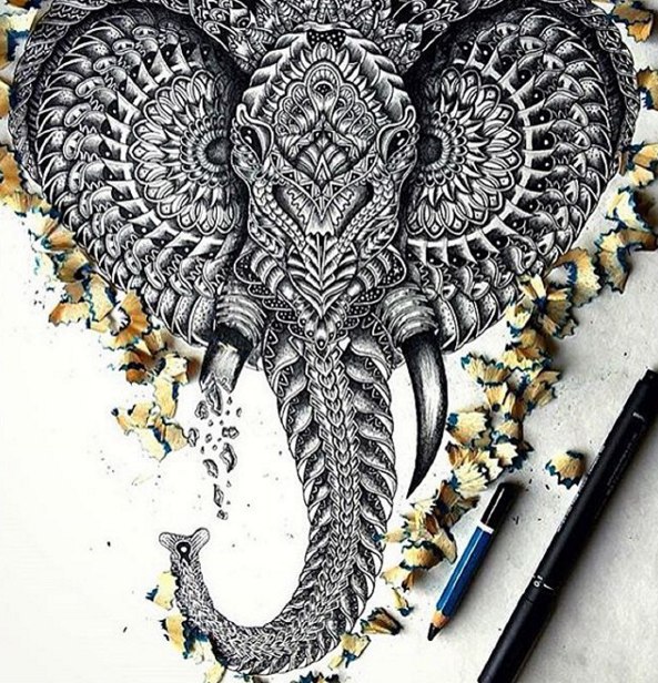 593x616 Art, Doodle, Drawing, Elephant, Inspiration, Pencil Coldplay