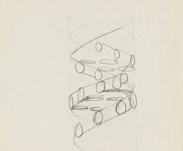 616x510 Sketch Of The Dna Double Helix By Francis Crick