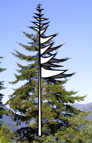 308x482 How To Draw Paint Evergreen Trees Douglas Fir, Firs
