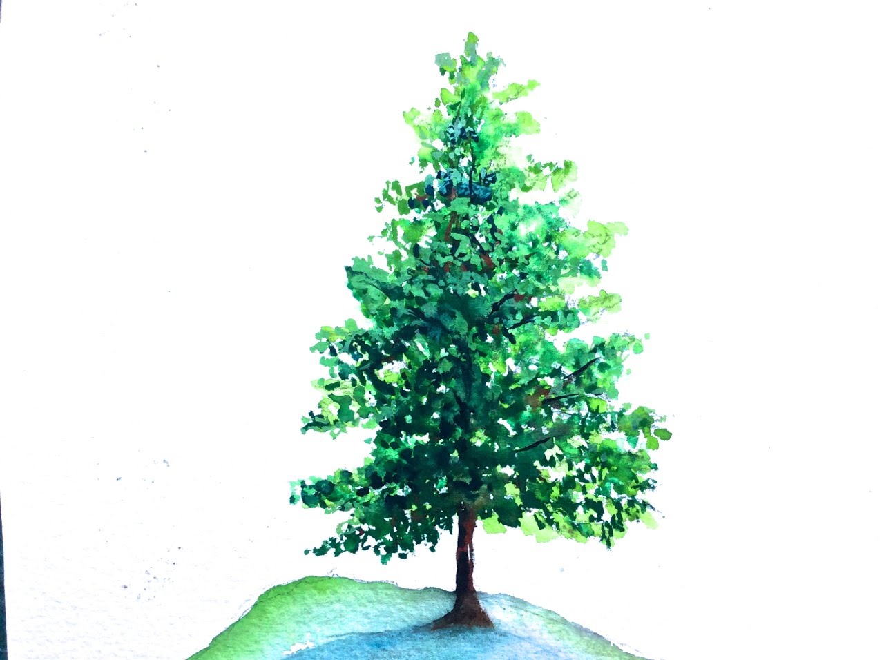 1280x956 Pine Tree Watercolor Tutorial For Beginners, How To Paint Step By