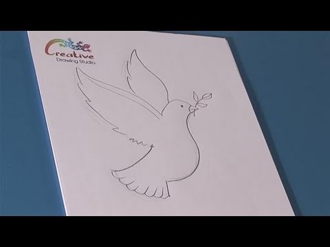 480x360 How To Learn To Draw A Dove