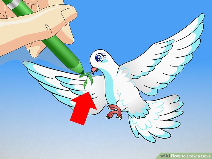 728x546 2 Easy Ways To Draw A Dove