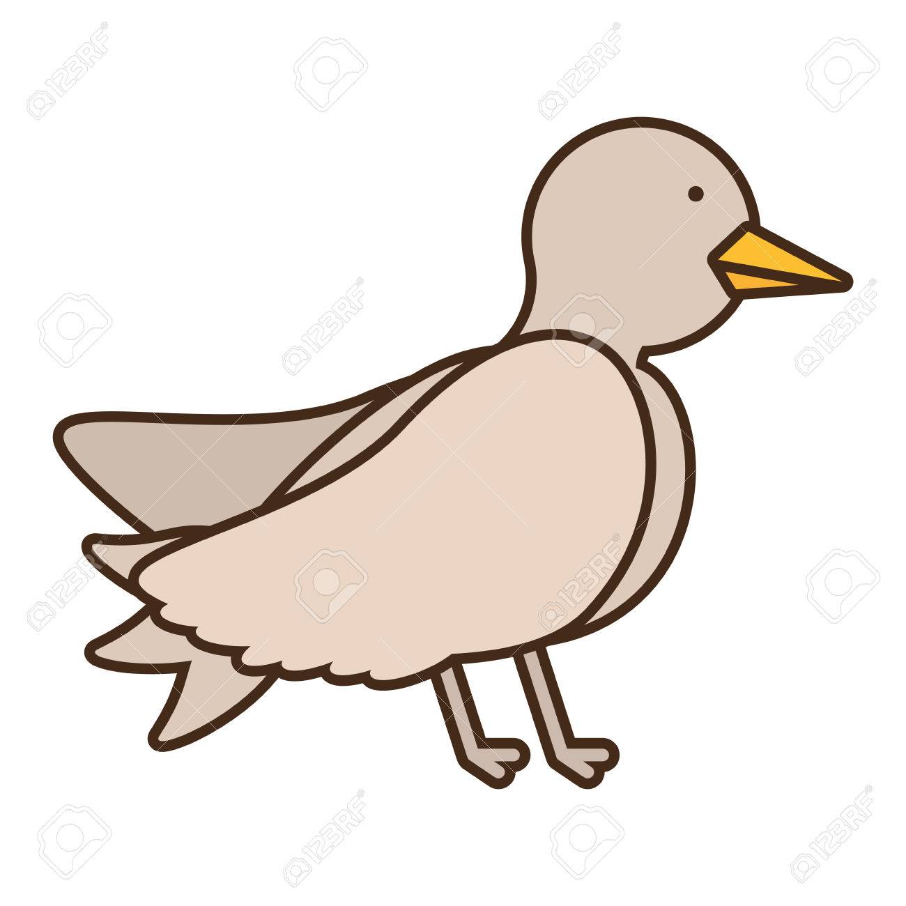 1300x1300 Drawing Dove Wedding Icon Vector Illustration Royalty Free
