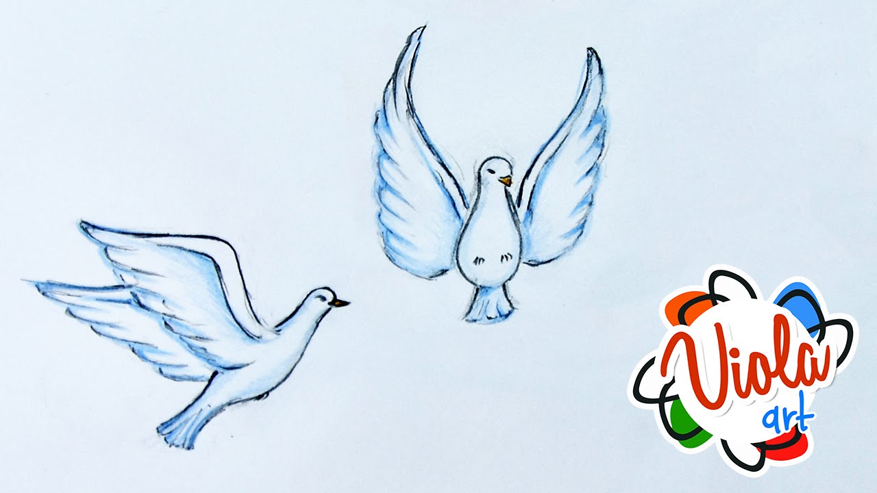 1280x720 How To Draw Dove With Marker Pen Drawing Tutorial For Kids