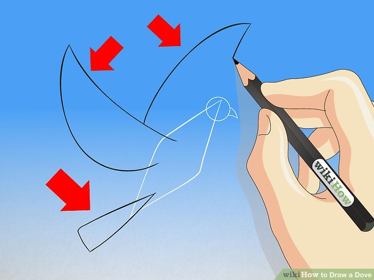 728x546 2 Easy Ways To Draw A Dove
