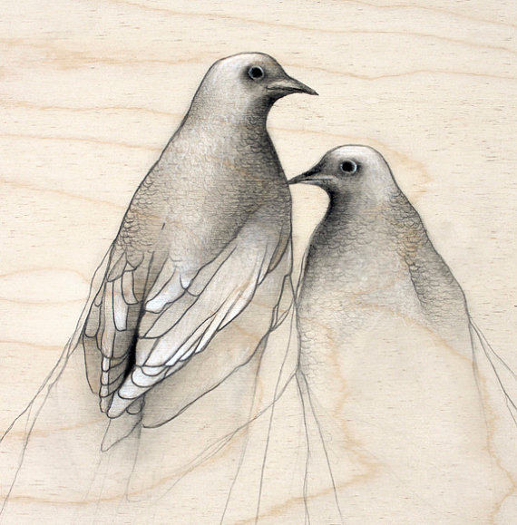 570x579 Dove Drawing Pencil Art Sketch By Thehauntedhollowtree On Etsy