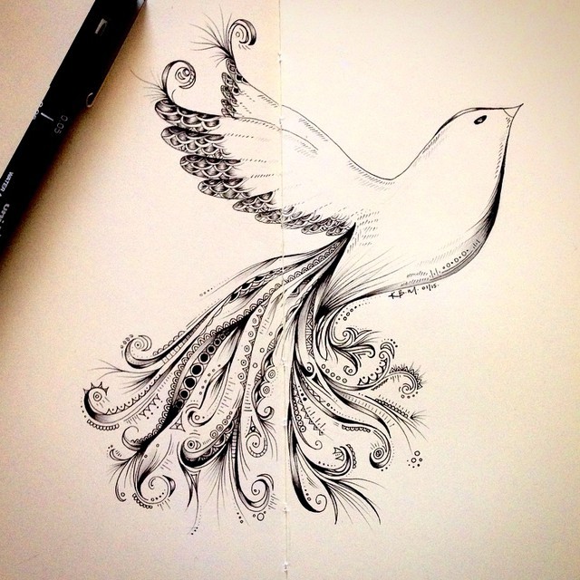 640x640 Drawn Dove World Peace