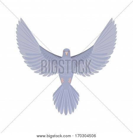 450x470 Dove Flying Bird Vector Vector Amp Photo Bigstock