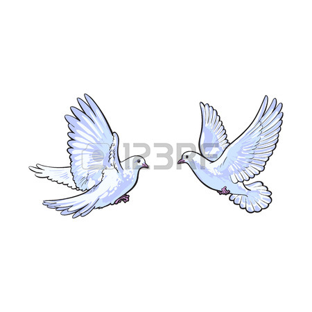450x450 Free Flying White Dove, Sketch Style Vector Illustration Isolated