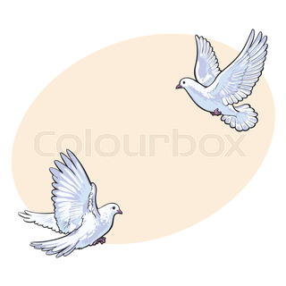 320x320 Free Flying White Dove, Sketch Style Vector Illustration Isolated