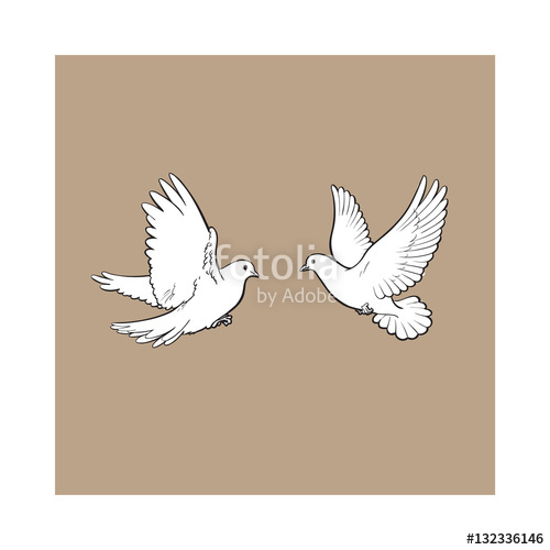 500x500 Two Free Flying White Doves, Sketch Vector Illustration Isolated