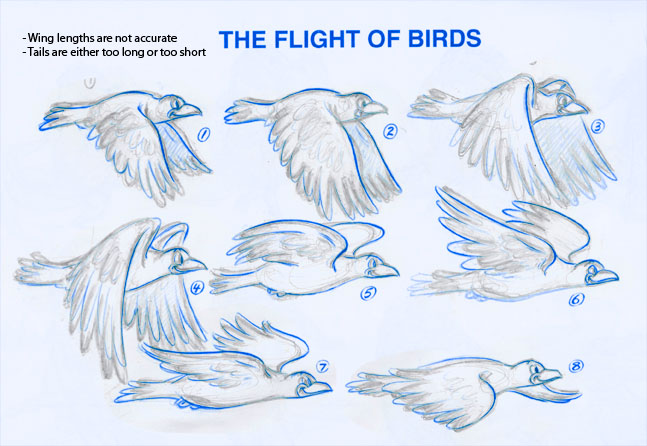 647x446 Wing Animation