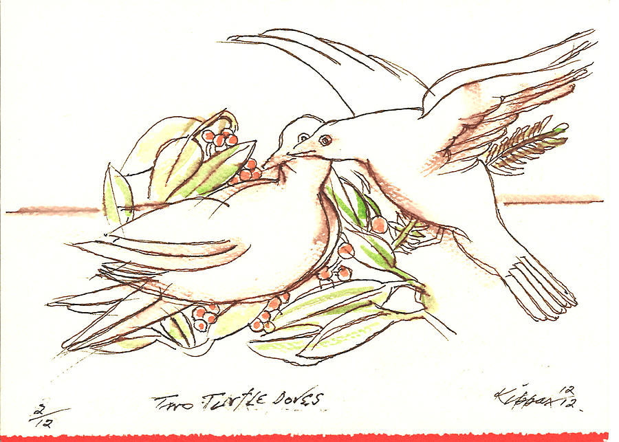 900x643 Two Turtle Doves Drawing By Kippax Williams