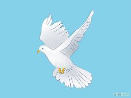 259x194 Doves Drawing