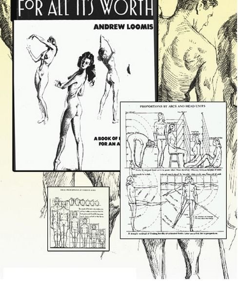 488x579 Figure Drawing And Anatomy Help, Free Downloads Figure Drawing