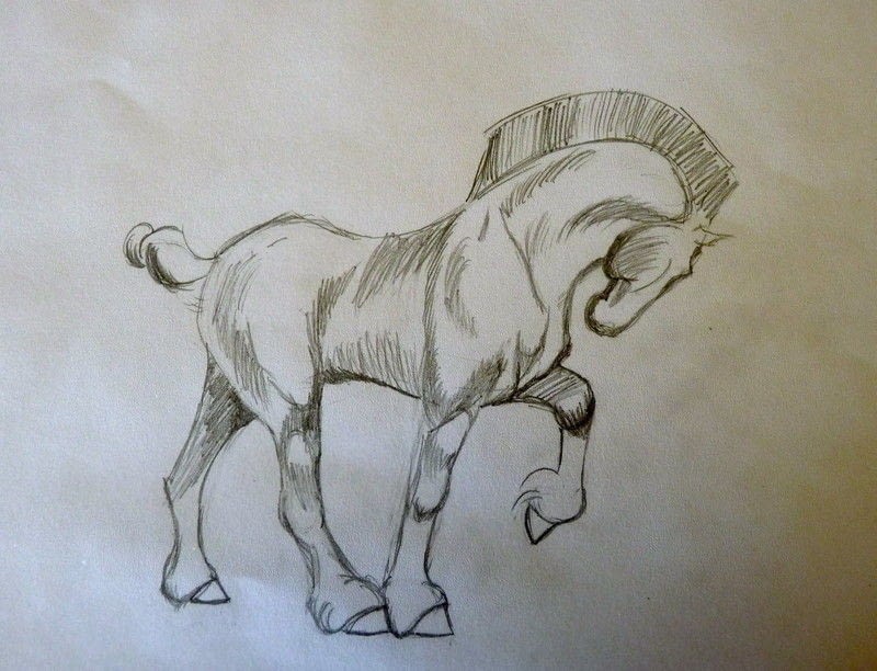 800x612 Draft Horse A Drawing Drawing On Cut Out + Keep Creation By