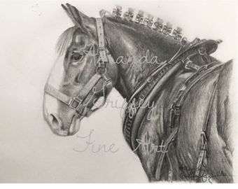 340x270 Draft Horse Art Etsy