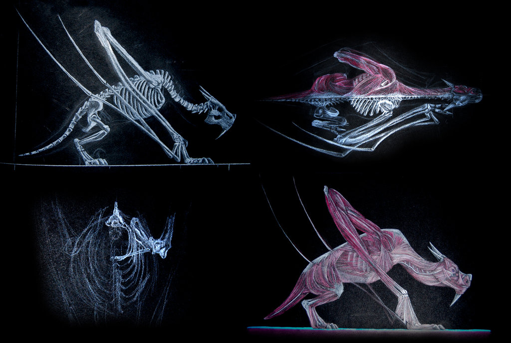 1024x687 Dragon Anatomy By Deviantetienne
