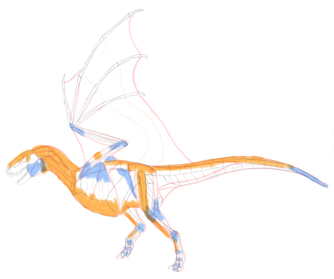 688x576 How To Draw Dragons Step By Step With Monika Zagrobelna