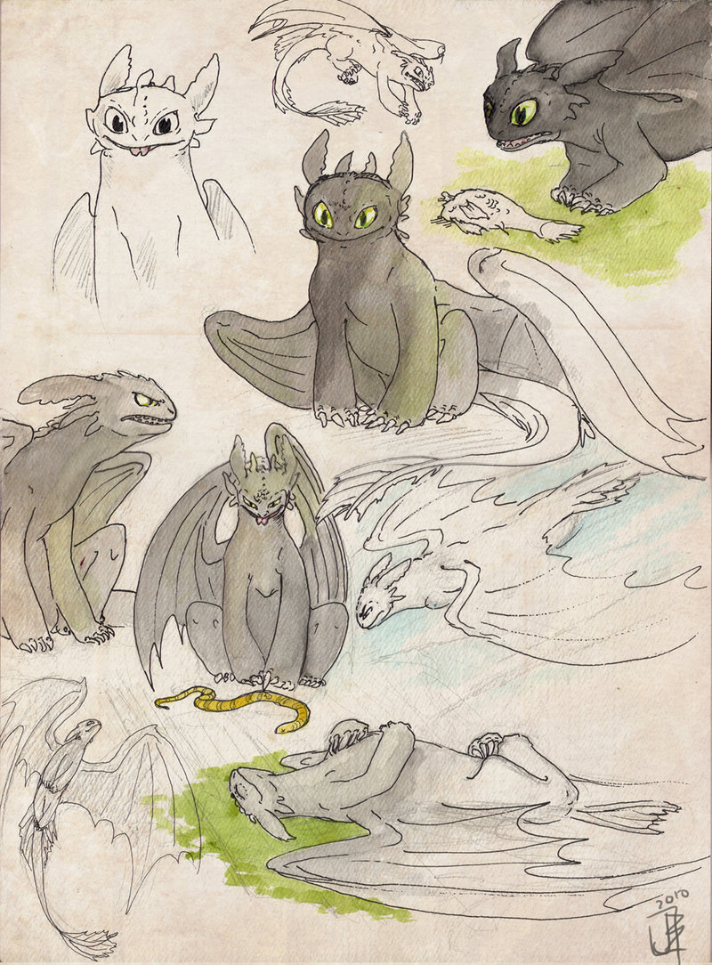 800x1084 Toothless Sketches By Janey Jane