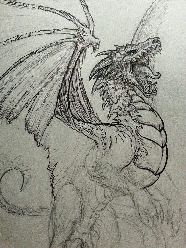 736x981 Cool Dragon Drawings The 25 Best Dragon Drawings Ideas