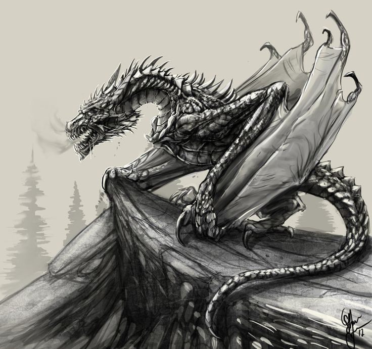 736x691 Image Result For Drawings Of Dragons Dragons
