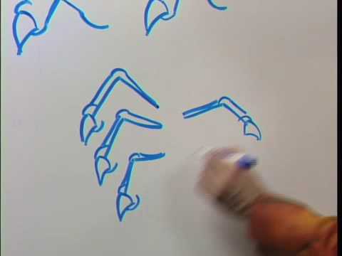 480x360 How To Draw A Dragon Claw Hand