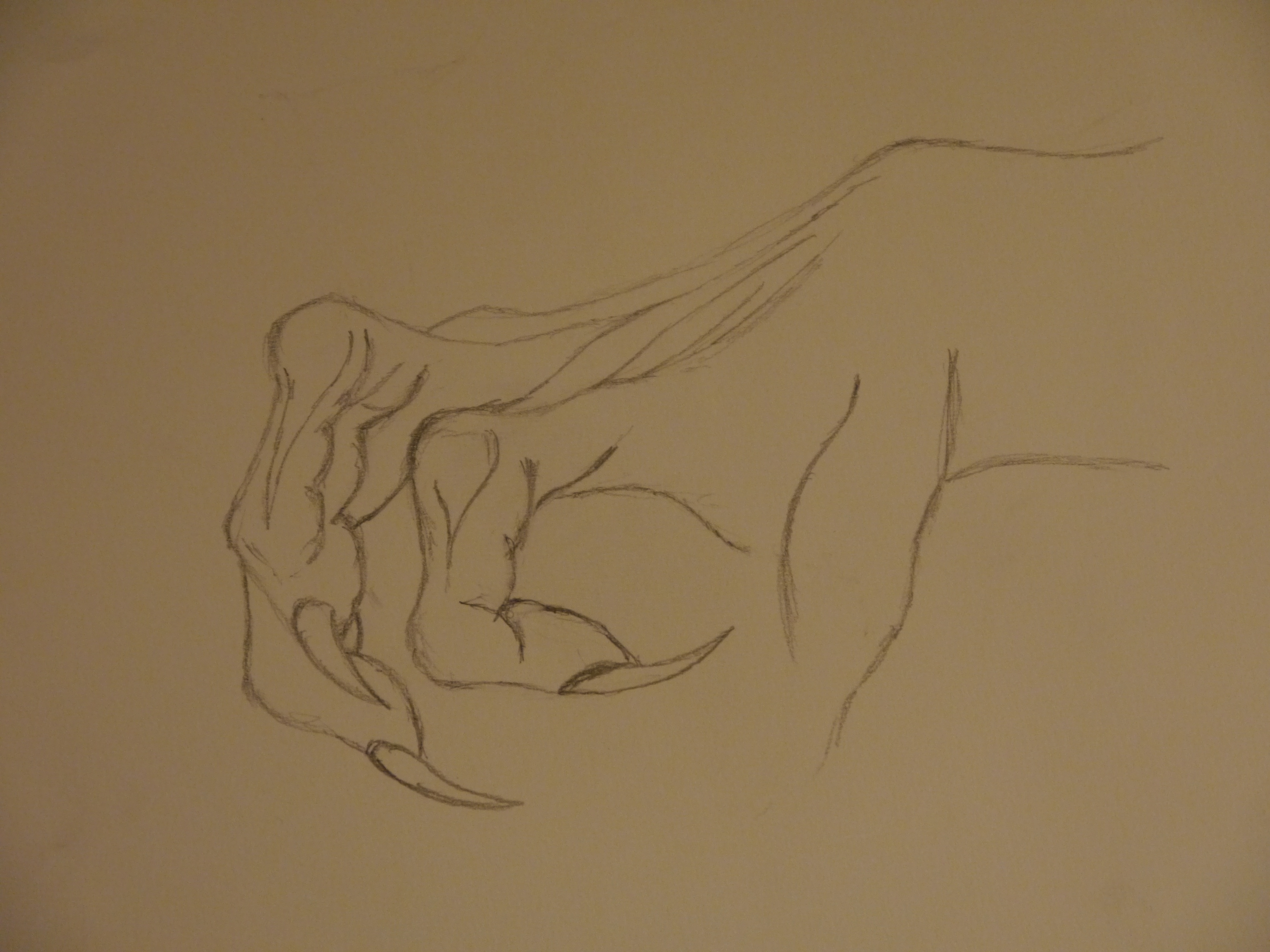 4608x3456 Sss Drawing Tutorials Dragon Claw Tutorial