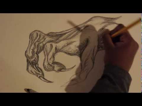 480x360 How To Draw A Dragon Claw