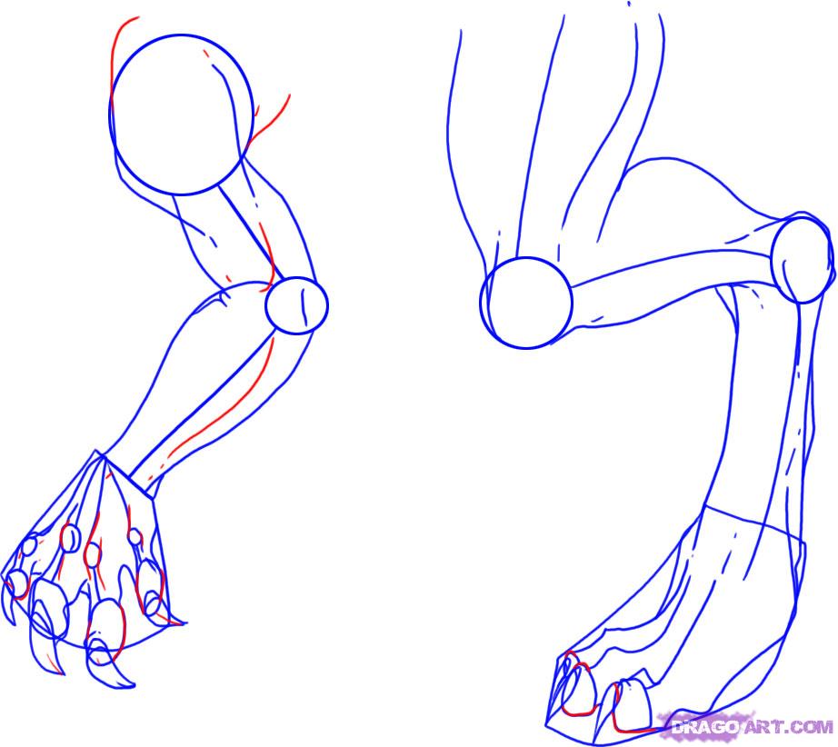 922x822 Drawing Dragon Limbs