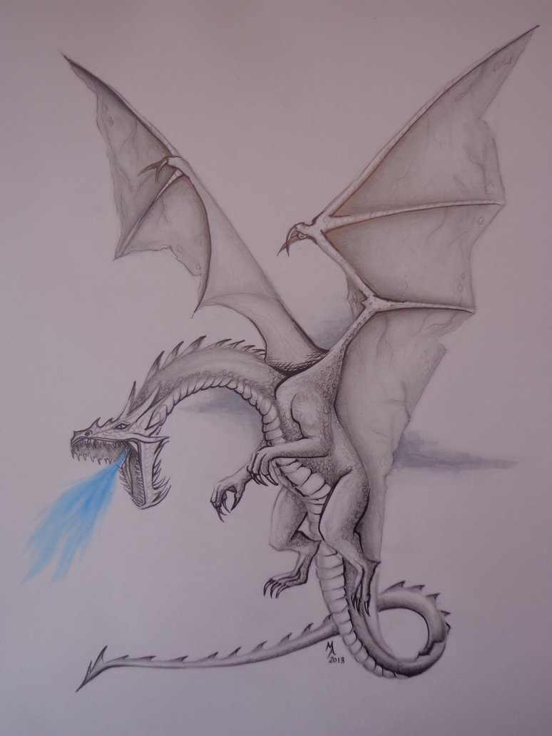 774x1032 Realistic Dragon Drawing By Masteringanime