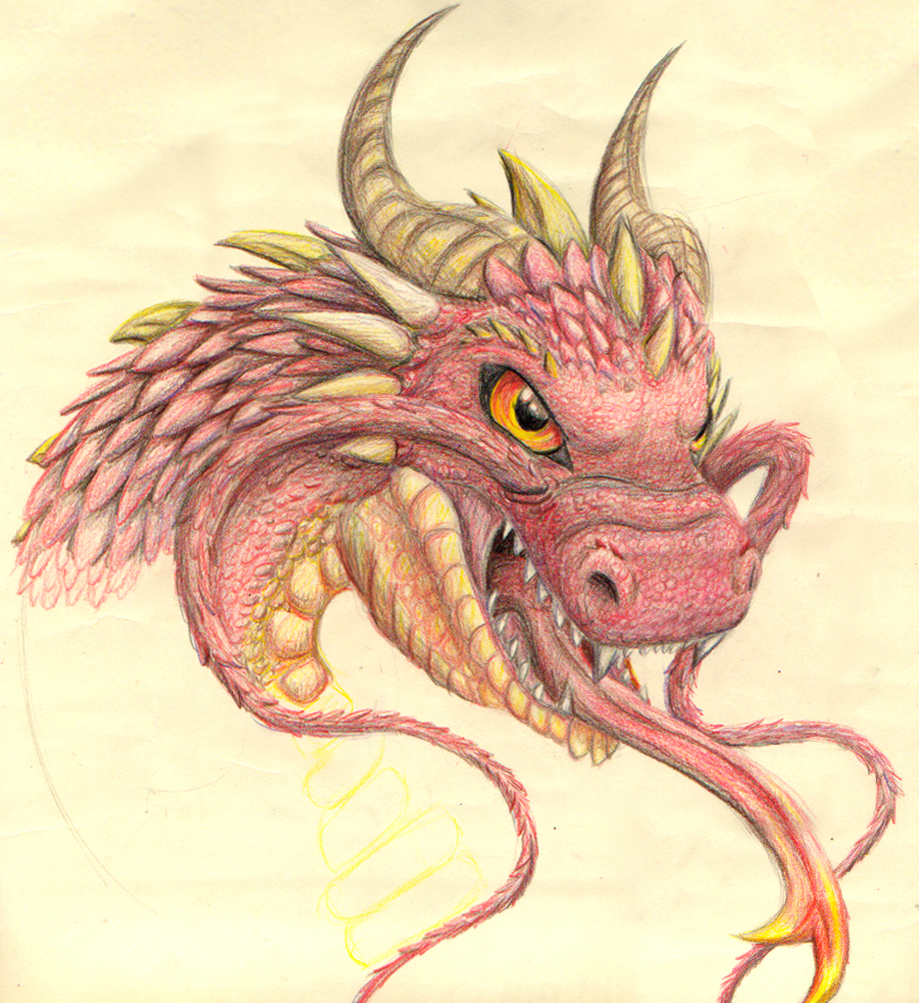 835x912 Colored Pencil Dragon Wip By Invadertigerstar