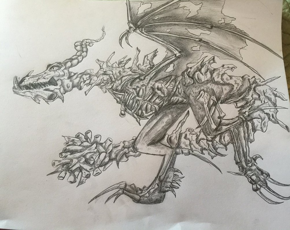 1003x797 Boneknapper School Of Dragons How To Train Your Dragon Games