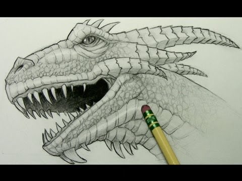 480x360 How To Draw A Dragon Head